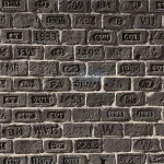 Scritto Negra tuğla panel